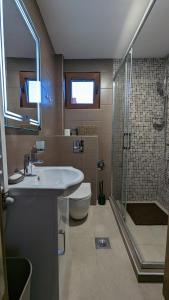un bagno con lavandino, doccia e WC di Mountain Haven Deluxe a Žabljak
