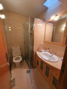 a bathroom with a toilet and a sink and a shower at Quintinha das Laranjeiras in Santa Cruz do Douro