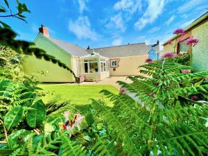 una casa con un patio con plantas y flores en Cosy Cottage - Whitchurch, Solva en Solva