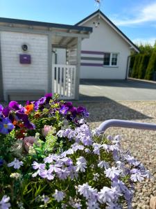 a pot of flowers in front of a house at Rodzinne miejsce in Kopalino