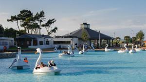 a group of people riding on swans in the water at Astala Lodge in Bangor