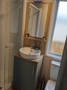 ein Badezimmer mit einem Waschbecken, einem Spiegel und einem WC in der Unterkunft Waterfoot Lodge in Little Habton