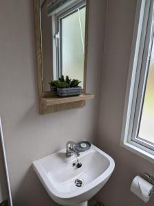 a bathroom with a sink and a mirror at Waterfoot Lodge in Little Habton