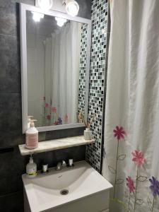 baño con lavabo y cortina de ducha en Lucero en Buenos Aires