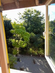 a view of a yard from an open window at The Barn in Saltash