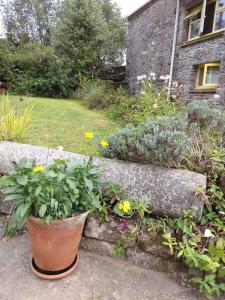 a garden with flowers and plants in front of a house at The Barn in Saltash
