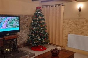 a christmas tree in a living room with a television at The Barn in Saltash