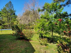 a garden with trees and flowers on the grass at Quinta Germania in Garupá