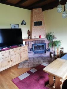 TV a/nebo společenská místnost v ubytování Herzfennerhof 2