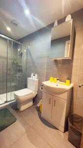 La salle de bains est pourvue de toilettes, d'une douche et d'un lavabo. dans l'établissement Ws Apartments - Luxury 1 bed in Watford Central, à Watford
