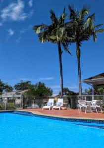 a swimming pool with two palm trees and chairs at Island Palms Motor Inn in Forster