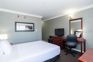 Cette chambre comprend un lit, un bureau et une télévision. dans l'établissement Sandman Hotel Red Deer, à Red Deer