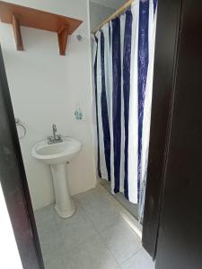 uma casa de banho com um lavatório e uma cortina de chuveiro com gravatas em Casa Flamboyant em Querétaro