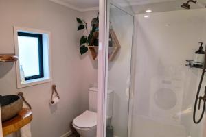 a bathroom with a toilet and a shower at Adventurer's Chest - Pohutukawa in Hotwater Beach