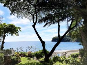 vista su una spiaggia con una palma di Tahiti Lafayette Beach Lodge ad Arue