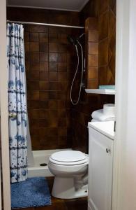 Ένα μπάνιο στο Pool & Spa Hideaway on the Space Coast +26 φωτογραφίες