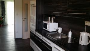 Kuchyň nebo kuchyňský kout v ubytování Apartmán U Labe