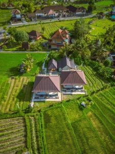 an aerial view of a house in a rice field at The babakan accommodations in Sidemen