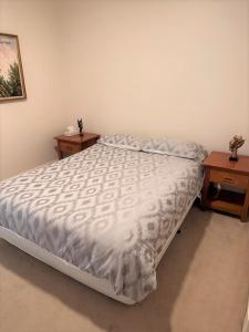 1 dormitorio con 1 cama y 2 mesitas de noche en Brice Hill Country Lodge, en Clare