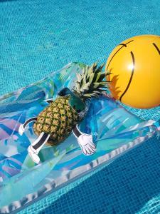 a pineapple on a raft in a swimming pool at Dura Vendégház in Paszab