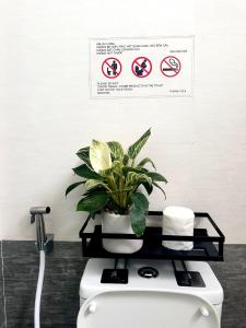 大叻Khoảng Lặng ATP的相册照片