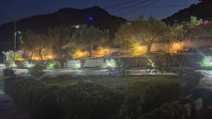 a garden lit up at night with lights at ANTIKa 6 in Tolo