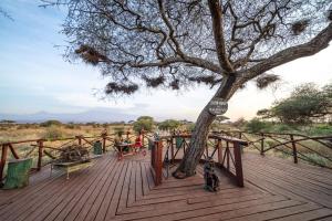 un árbol en una cubierta con un perro de pie junto a él en Sentrim Amboseli Lodge, en Amboseli