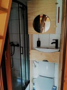 a small bathroom with a toilet and a sink at Osada Bura Polana in Ujsoły