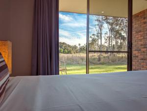 a bedroom with a bed and a large window at Island Palms Motor Inn in Forster