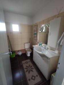 a small bathroom with a sink and a toilet at Primoula Grammou 1450 in Néa Kotýli