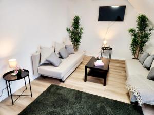 ein Wohnzimmer mit einem Sofa und einem Tisch in der Unterkunft ND Hotels & Apartment Düsseldorf in Düsseldorf
