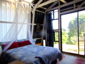 a bedroom with a bed and a large window at Skylark Cottage in Bathurst