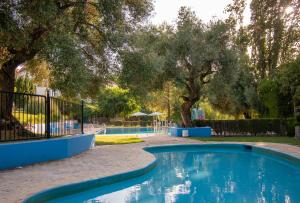 einen Pool in einem Garten mit Bäumen in der Unterkunft Hotel del Carmen in Prado del Rey