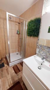 布勒伊拉的住宿－Casa Nicolae，带淋浴和白色盥洗盆的浴室