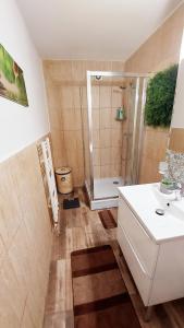 布勒伊拉的住宿－Casa Nicolae，带淋浴、盥洗盆和卫生间的浴室