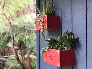 dos cajas rojas en una pared con una planta en Puolani Iki-Sweet lil cottage near National Park en Volcano