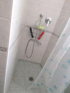 a shower with a shower curtain in a bathroom at Albisola, a 50 m dal mare in Albisola Superiore