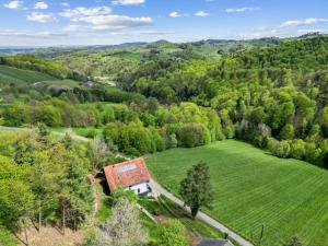 an aerial view of a house in a green field at Pension Maximilian, Ideal für Gruppen in Gamlitz