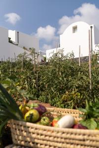 Сад в Santo Pure Oia Suites & Villas