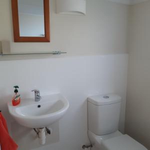 a white bathroom with a toilet and a sink at Bunny Cottage in Masterton