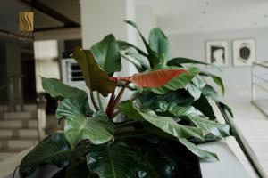 Fotografie z fotogalerie ubytování Sotogrande Davao Hotel v destinaci Davao