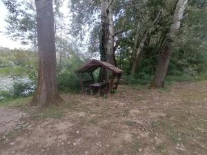 Príroda v okolí apartmánu
