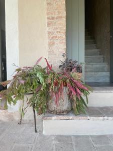 Fotografie z fotogalerie ubytování Bnb Verdeolivo v destinaci Coriano