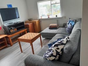 a living room with a couch and a tv at Kyrrðarstaður in Selfoss