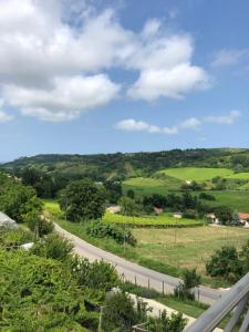 un camino en medio de un campo verde en Villa Rosaria, en Tollo