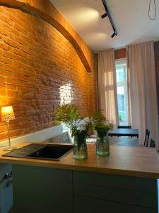 a kitchen with a sink and a brick wall at CARLS AUTHENTIC B&B in Karlovy Vary