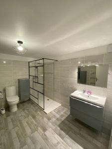 a bathroom with a toilet and a sink and a shower at appartement de charme proche de Moissac in Labastide-du-Temple