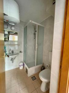 a bathroom with a shower and a toilet and a sink at Apartments Boras in Cavtat