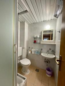 a small bathroom with a toilet and a sink at Apartments Boras in Cavtat +23 photos