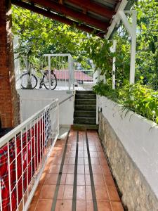 uma passagem com escadas e uma pérgola em Apartments Boras em Cavtat